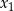 x1 