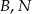 B,N 