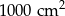 10 00cm 2 