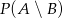 B 