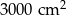 3000cm 2 