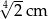 √ -- 42cm 
