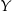 Y 
