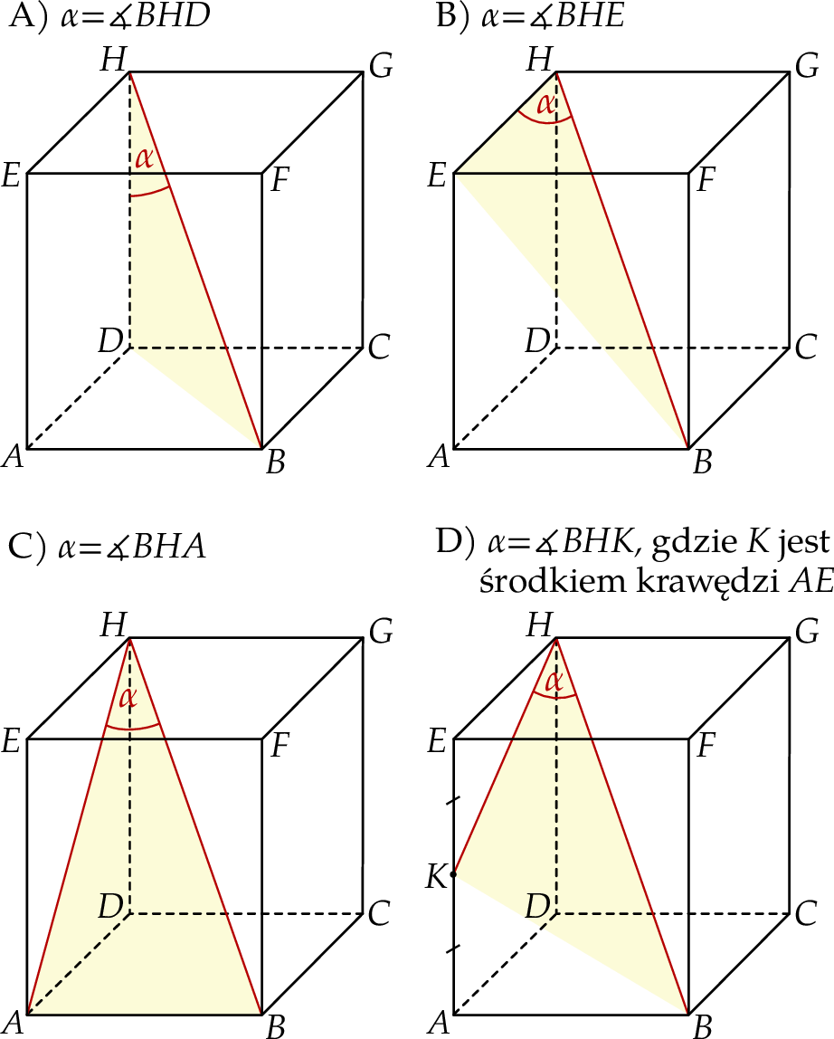 ZINFO-FIGURE